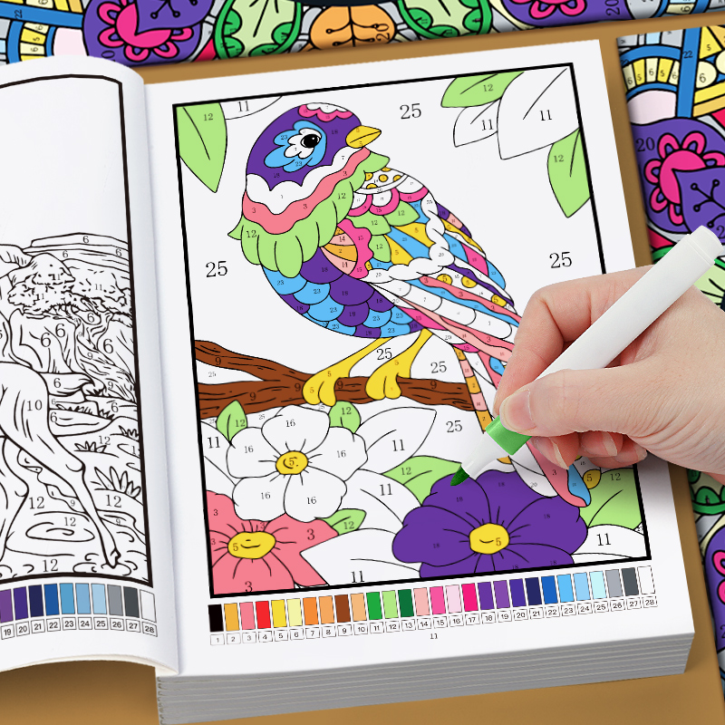Adult Coloring Book Stress Relief - Yetişkinler İçin Renkli Sayılarla Boyama Kitabı