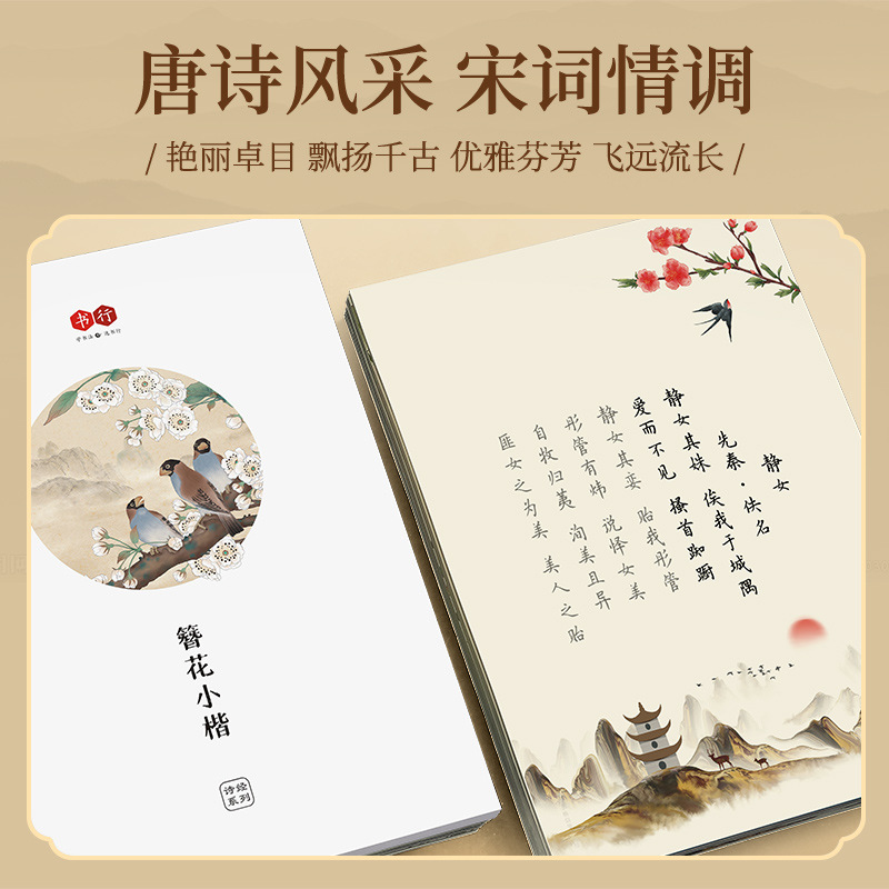 Saç Tokası Çiçeği Küçük Kai Şa - Chinese Calligraphy Practice Book incelemesi ve fiyatı