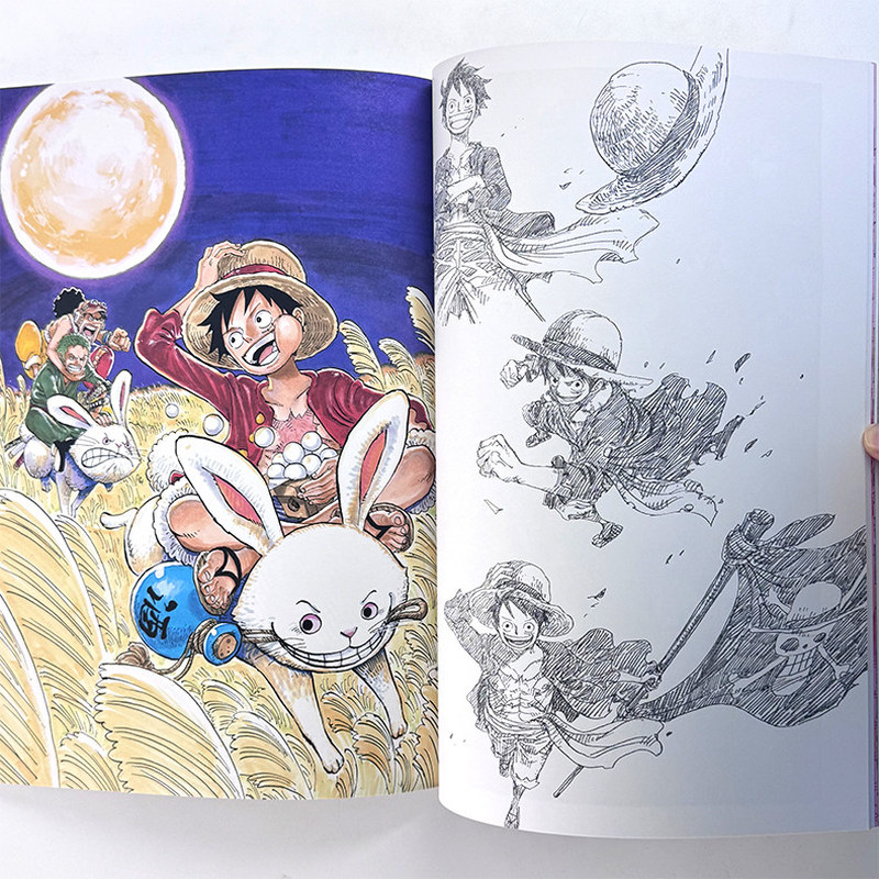One Piece Çizim Kitabı Color W - Stationery Books incelemesi ve fiyatı
