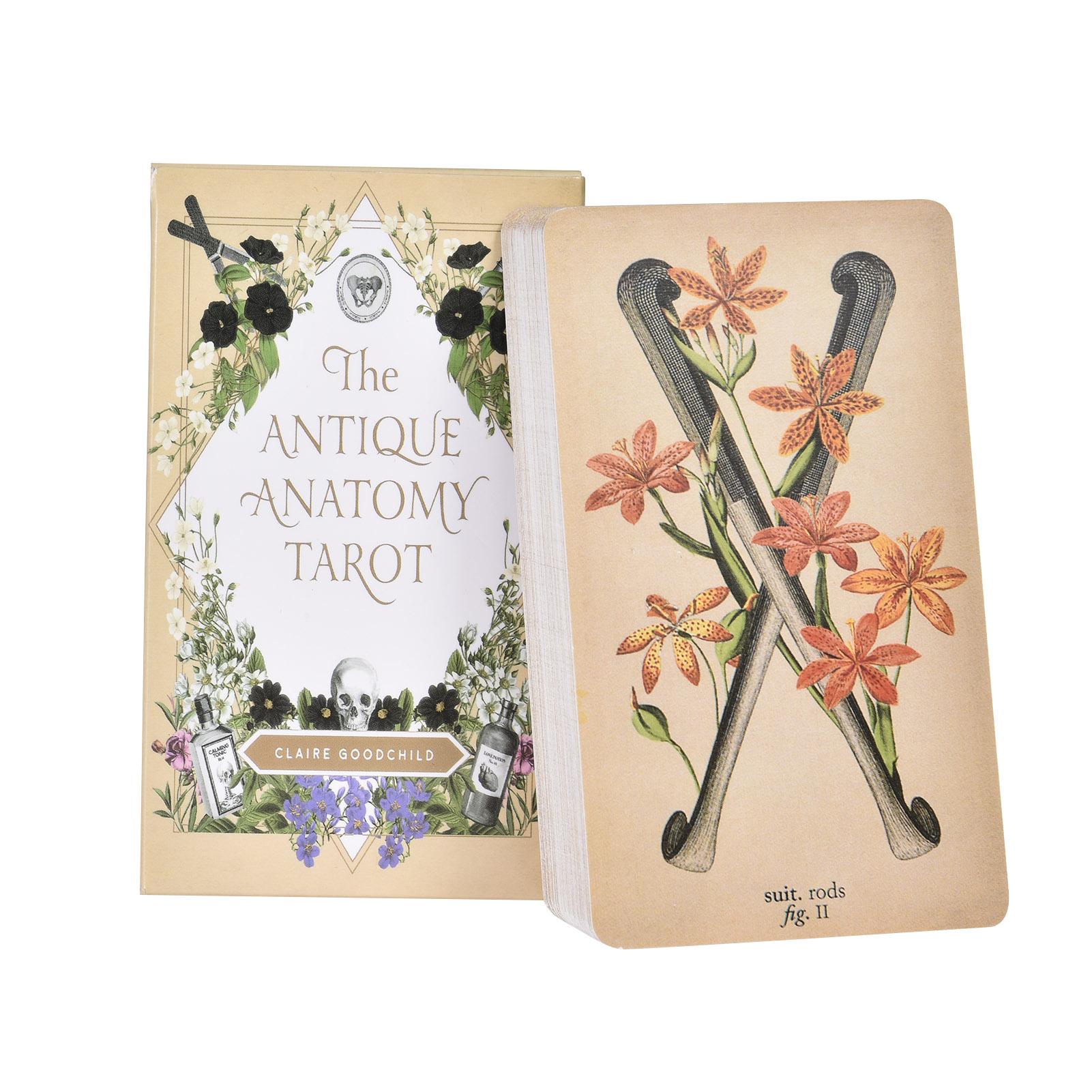 Antik Anatomi Tarot Kartları İ - Tarot Deck With Guidebook incelemesi ve fiyatı